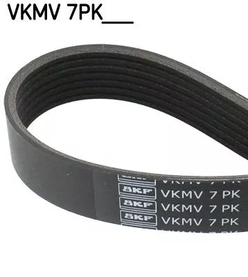 V-ribbed Belt SKF VKMV 7PK1716)