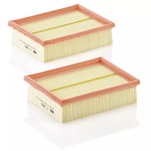 Air Filter MANN-FILTER C 1955-2)