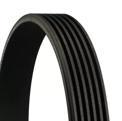 V-ribbed Belt CONTINENTAL CTAM 6PK2215)