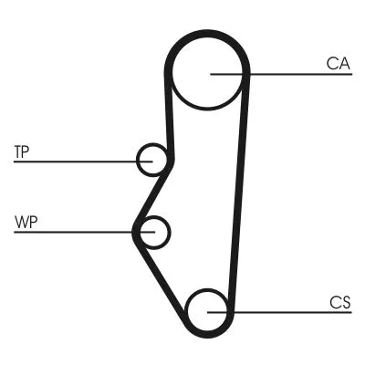 Timing Belt CONTINENTAL CTAM CT525)