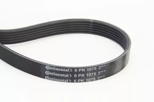 V-ribbed Belt CONTINENTAL CTAM 6PK1075)