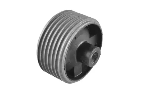 Mounting, engine TEDGUM 00672943)