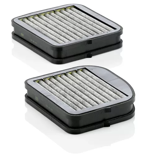 Filter, cabin air MANN-FILTER CUK 22 000-2)