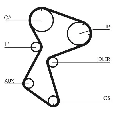 Timing Belt CONTINENTAL CTAM CT966)