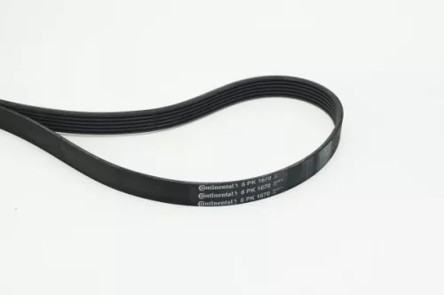V-ribbed Belt CONTINENTAL CTAM 6PK1670)