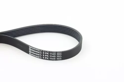 V-ribbed Belt CONTINENTAL CTAM 6PK1145)