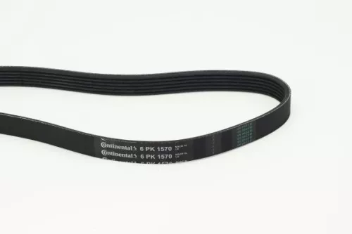 V-ribbed Belt CONTINENTAL CTAM 6PK1570)