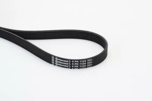 V-ribbed Belt CONTINENTAL CTAM 6PK1120)