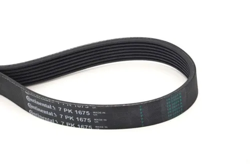 V-ribbed Belt CONTINENTAL CTAM 7PK1675)