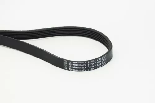 V-ribbed Belt CONTINENTAL CTAM 6PK1230)