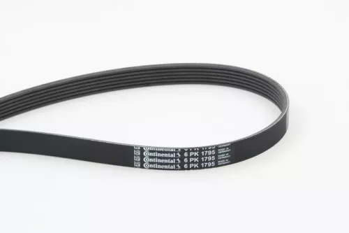V-ribbed Belt CONTINENTAL CTAM 6PK1795)