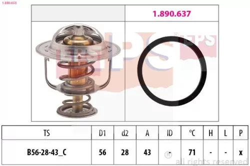 Thermostat, coolant EPS 1.880.650)