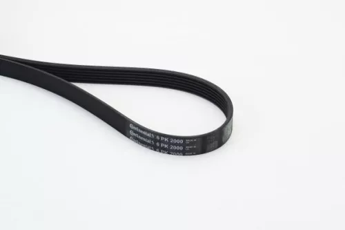 V-ribbed Belt CONTINENTAL CTAM 6PK2000)