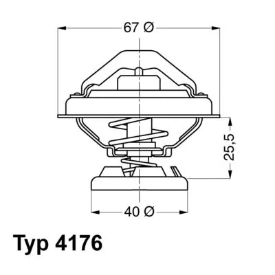 Thermostat, coolant BorgWarner (Wahler) 4176.85D)
