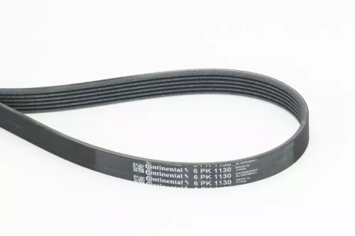 V-ribbed Belt CONTINENTAL CTAM 6PK1130)