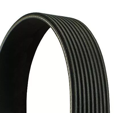 V-ribbed Belt CONTINENTAL CTAM 9PK2835)