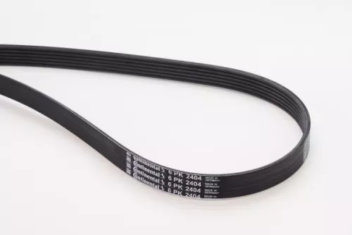 V-ribbed Belt CONTINENTAL CTAM 6PK2404)