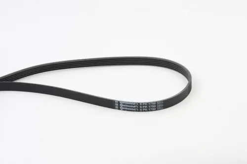 V-ribbed Belt CONTINENTAL CTAM 5PK1750)
