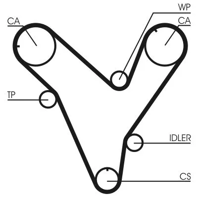 Timing Belt CONTINENTAL CTAM CT829)
