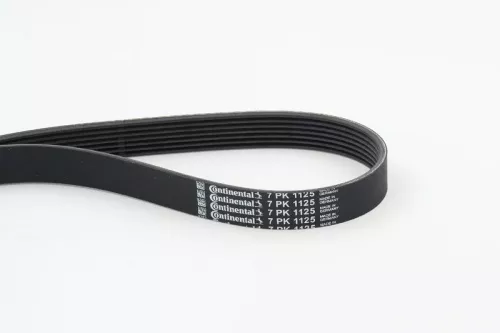 V-ribbed Belt CONTINENTAL CTAM 7PK1125)