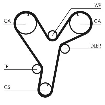 Timing Belt CONTINENTAL CTAM CT1080)
