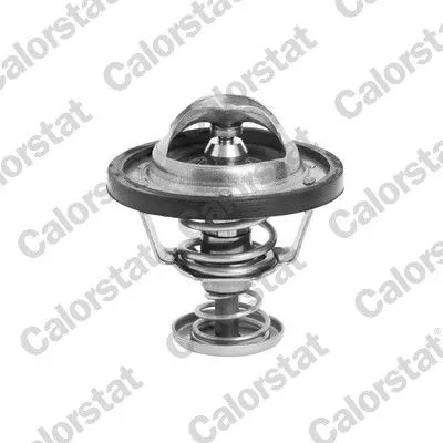 Thermostat, coolant CALORSTAT by Vernet TH6295.76J)