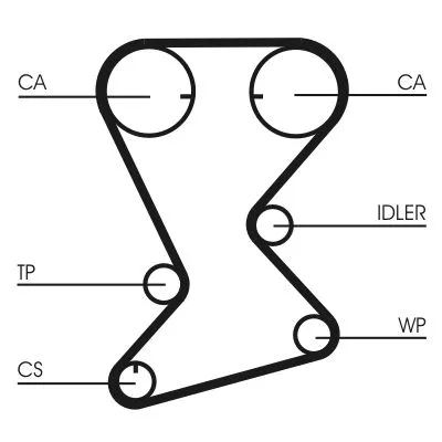 Timing Belt CONTINENTAL CTAM CT1108)
