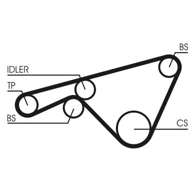 Timing Belt CONTINENTAL CTAM CT925)