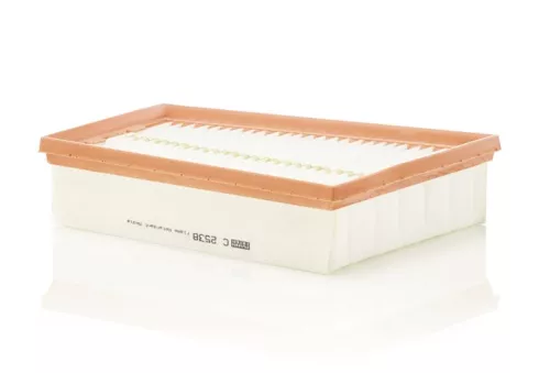 Air Filter MANN-FILTER C 2538)