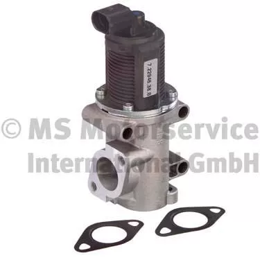 EGR Valve PIERBURG 7.22946.38.0)