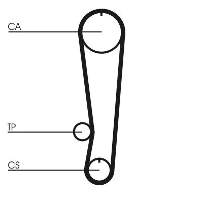 Timing Belt CONTINENTAL CTAM CT808)