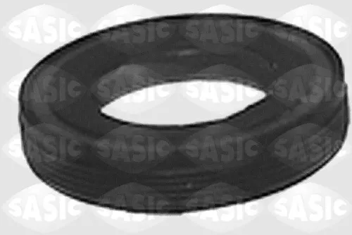 Shaft Seal, differential SASIC 1213243)