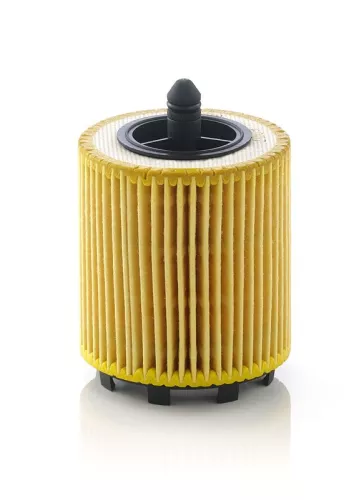 Oil Filter MANN-FILTER HU 6007 x)