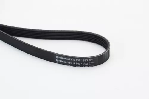 V-ribbed Belt CONTINENTAL CTAM 6PK1893)