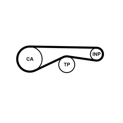 Timing Belt CONTINENTAL CTAM CT1095)