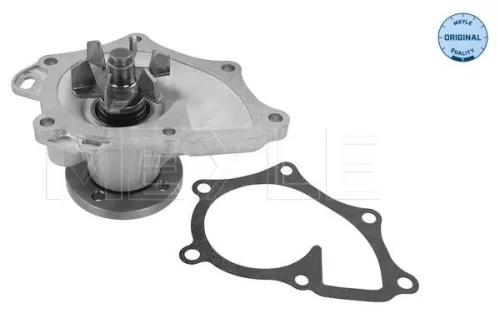 Water Pump, engine cooling MEYLE 30-13 220 0013)