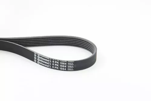 V-ribbed Belt CONTINENTAL CTAM 6PK1564)