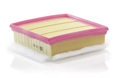 Air Filter MANN-FILTER C 20 106/1)