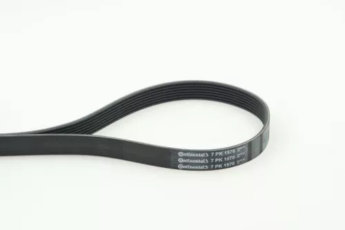 V-ribbed Belt CONTINENTAL CTAM 7PK1570)