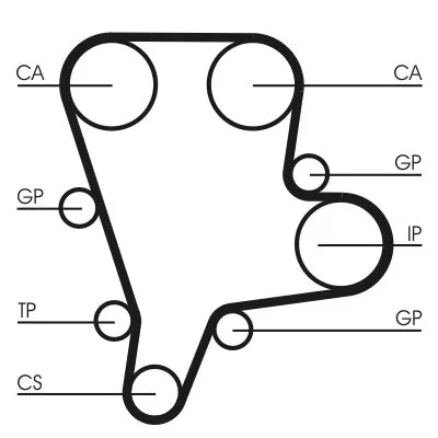 Timing Belt CONTINENTAL CTAM CT1122)