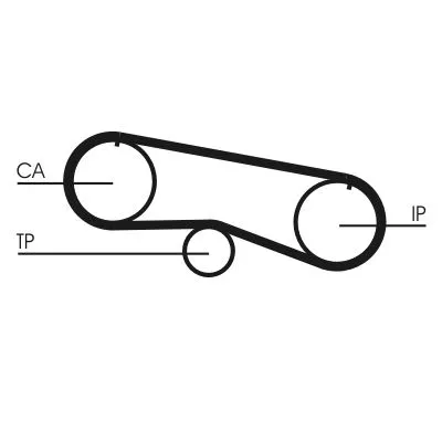 Timing Belt CONTINENTAL CTAM CT933)