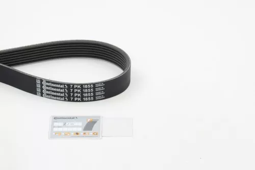 V-ribbed Belt CONTINENTAL CTAM 7PK1855)