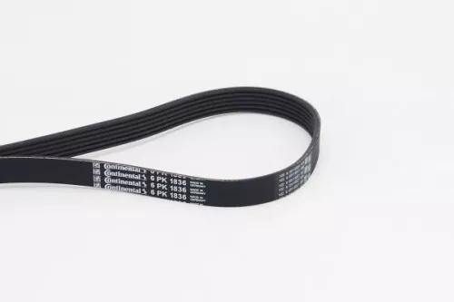 V-ribbed Belt CONTINENTAL CTAM 6PK1836)