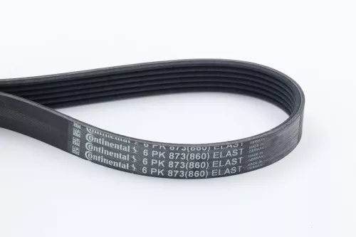 V-ribbed Belt CONTINENTAL CTAM 6PK873 ELAST)