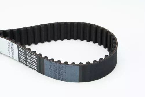 Timing Belt CONTINENTAL CTAM CT891)