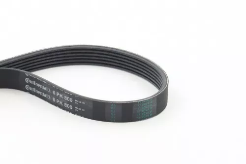 V-ribbed Belt CONTINENTAL CTAM 6PK800)