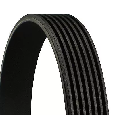 V-ribbed Belt CONTINENTAL CTAM 7PK1549)