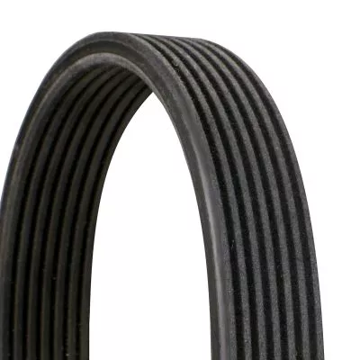 V-ribbed Belt CONTINENTAL CTAM 7DPK1884)
