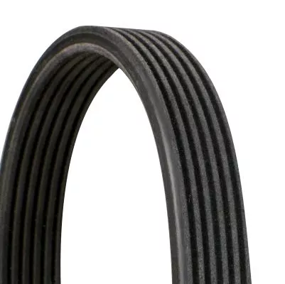 V-ribbed Belt CONTINENTAL CTAM 6DPK1352)