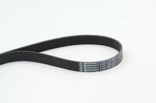 V-ribbed Belt CONTINENTAL CTAM 7PK1104)